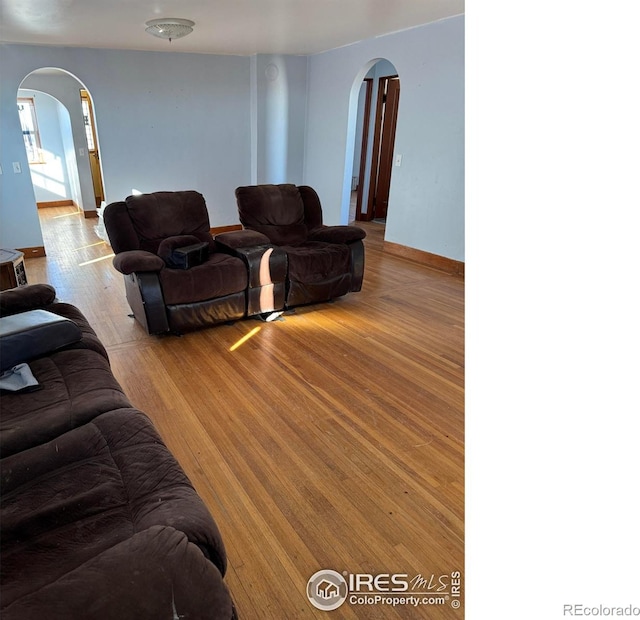 living room with hardwood / wood-style floors