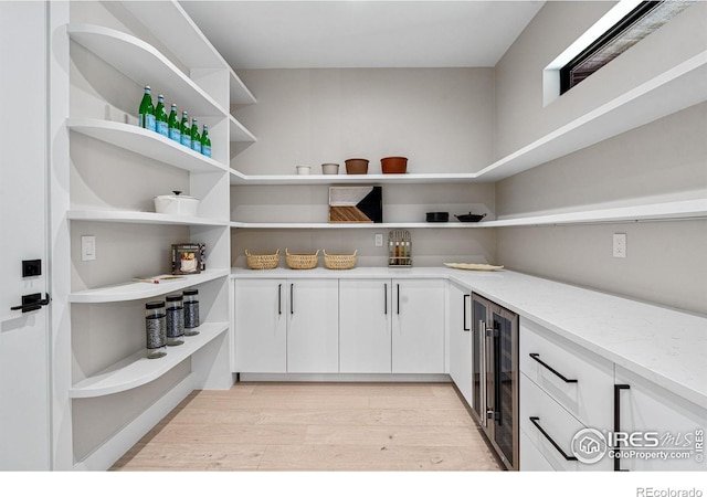 pantry with beverage cooler