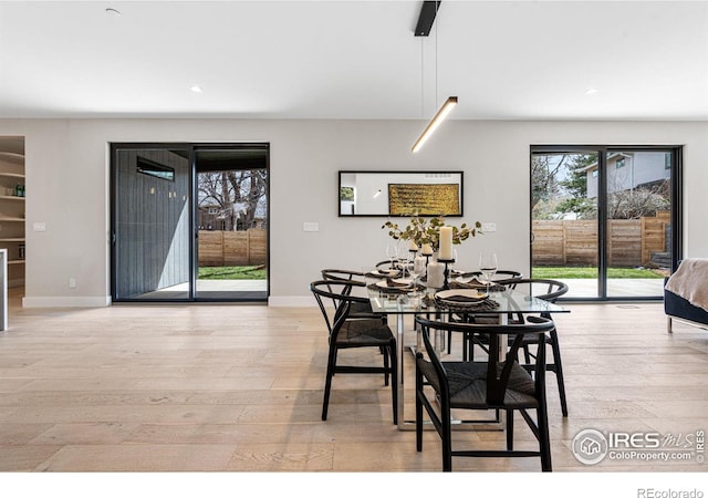 dining room with light hardwood / wood-style floors