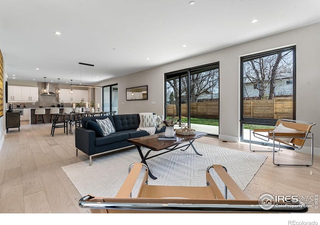 living room featuring light hardwood / wood-style floors