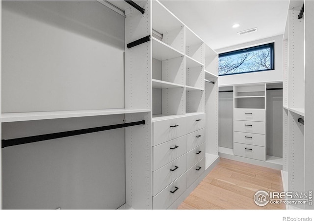 spacious closet featuring light hardwood / wood-style flooring