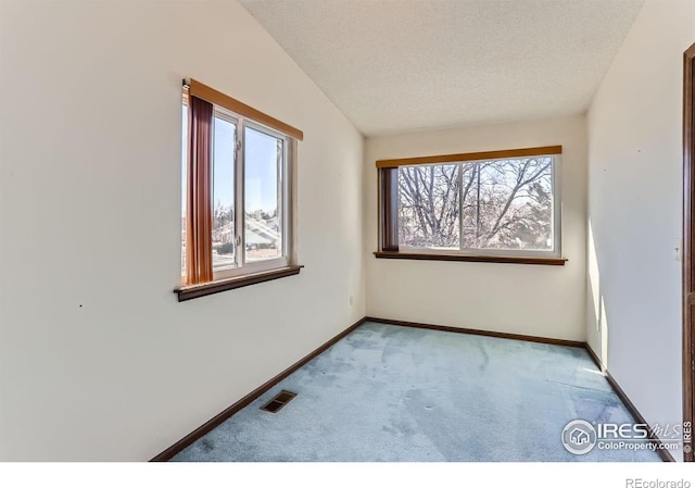 carpeted empty room with lofted ceiling and a textured ceiling