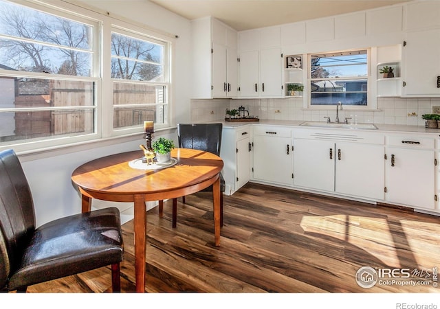 kitchen with tasteful backsplash, sink, dark wood-type flooring, and white cabinets