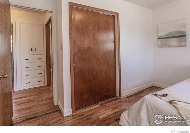 bedroom featuring hardwood / wood-style flooring and a closet