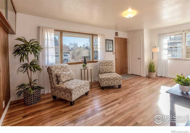 living area with light hardwood / wood-style flooring