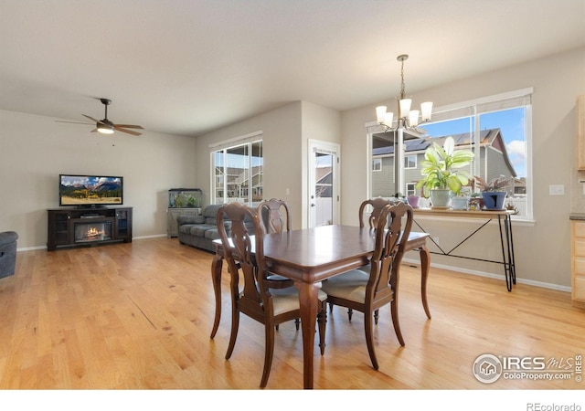 dining space featuring ceiling fan with notable chandelier, a healthy amount of sunlight, and light hardwood / wood-style floors