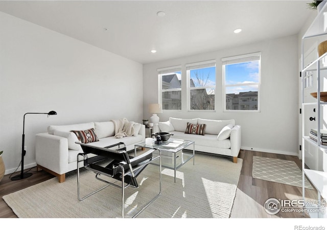 living room with wood-type flooring