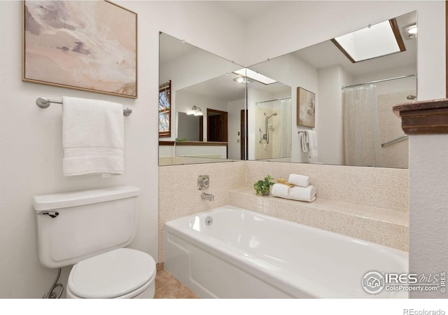 bathroom with toilet and a bathtub