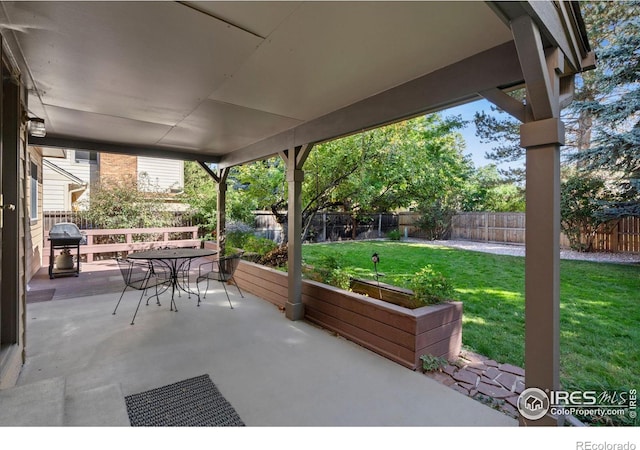 view of patio / terrace with area for grilling