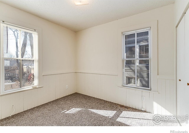 unfurnished room with carpet and a textured ceiling