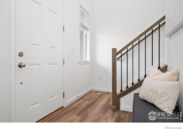 entrance foyer featuring dark hardwood / wood-style flooring