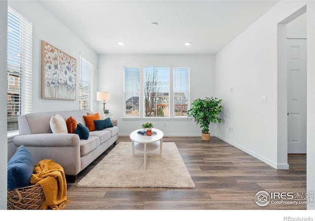 living room with dark wood-type flooring