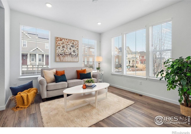 living room featuring wood-type flooring