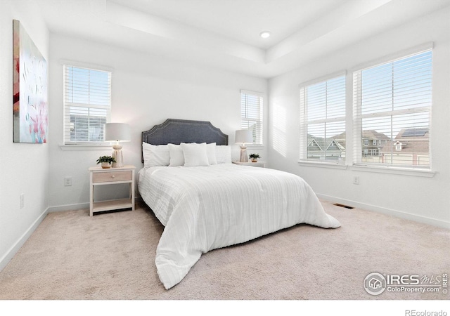 bedroom with a tray ceiling and carpet floors