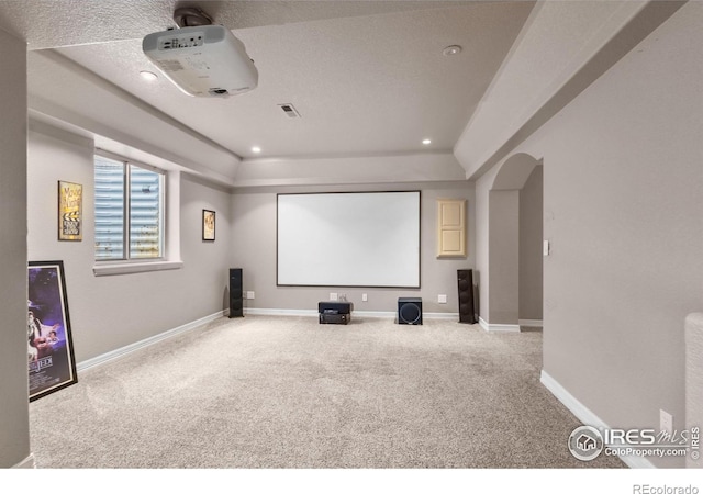 home theater with carpet