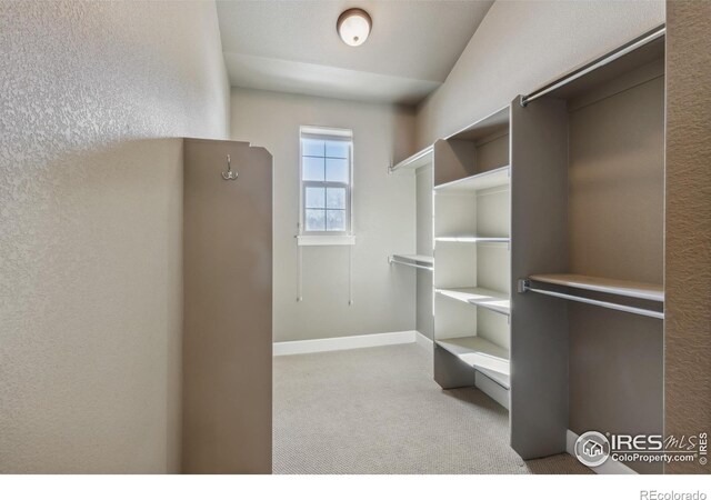 spacious closet with light carpet