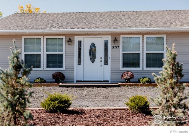 view of exterior entry featuring a shingled roof