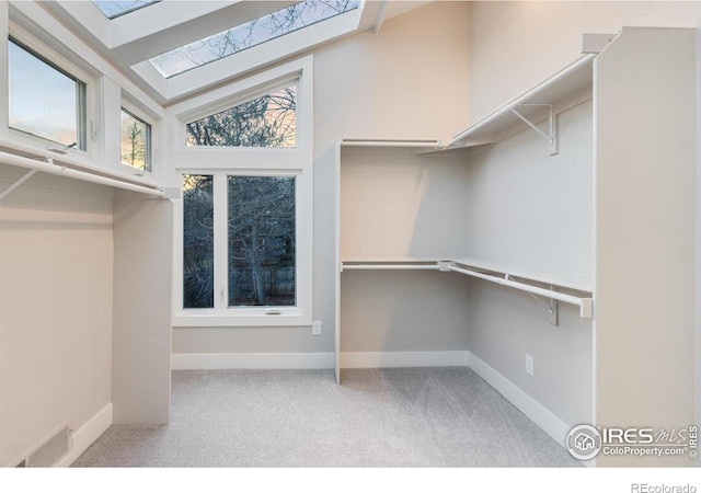 walk in closet featuring vaulted ceiling and light carpet