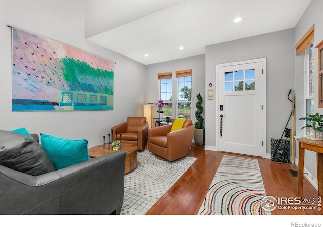 living room with wood-type flooring