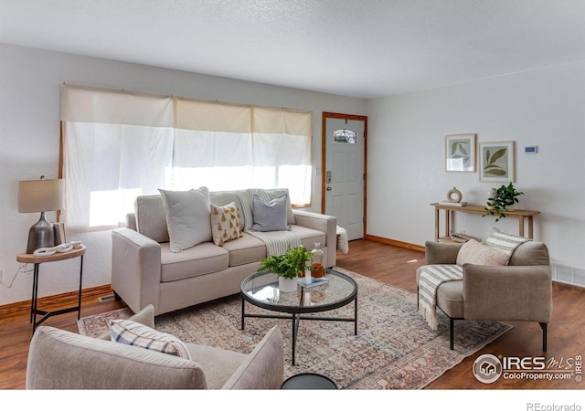 living room featuring hardwood / wood-style floors and a textured ceiling