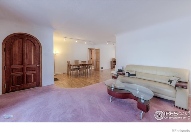 living room featuring track lighting and carpet
