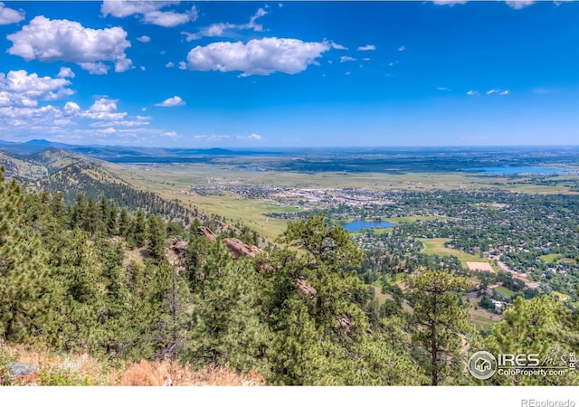 drone / aerial view with a mountain view