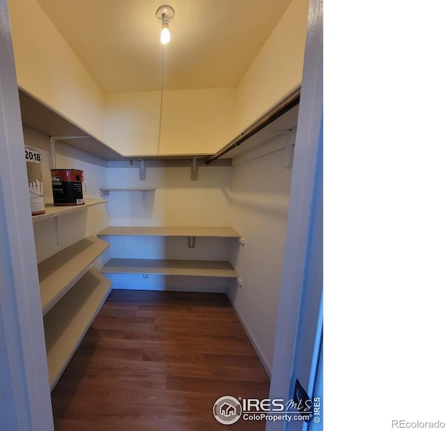 walk in closet featuring dark hardwood / wood-style floors