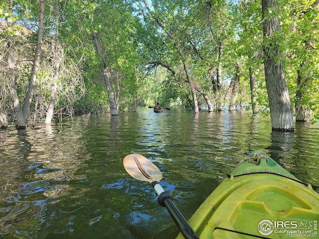 water view