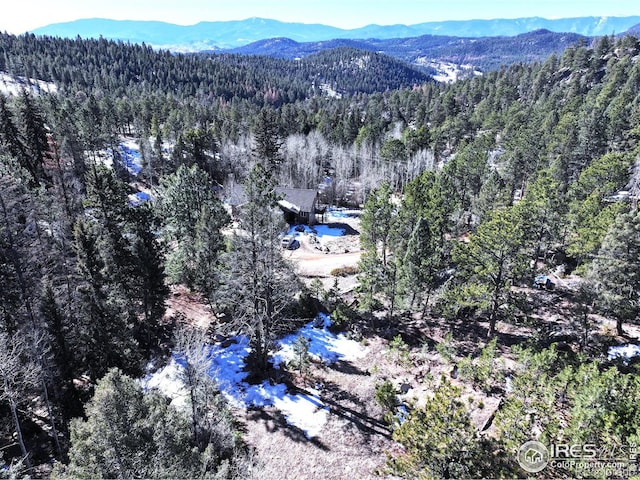 Listing photo 3 for 30929 Bear Cub Trl, Conifer CO 80433