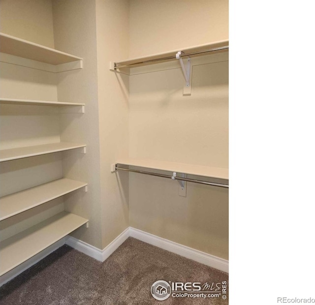 2023 81st Ave, Greeley, CO 80634 - spacious closet featuring carpet