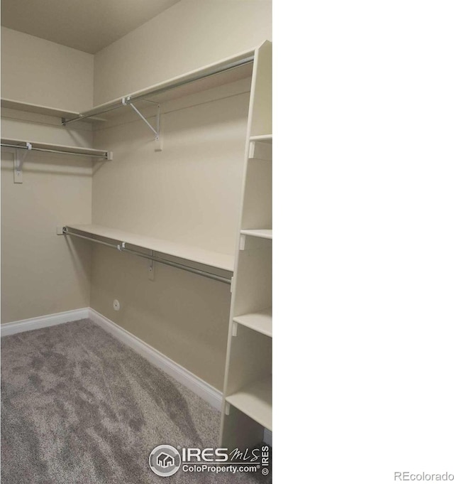 2023 81st Ave, Greeley, CO 80634 - spacious closet featuring carpet