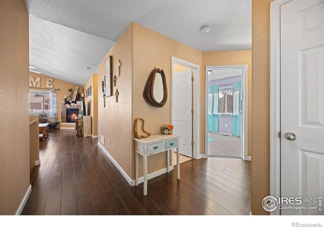 corridor with a wealth of natural light, a textured ceiling, and dark hardwood / wood-style flooring