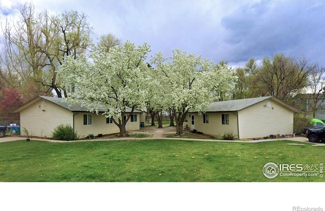 ranch-style house featuring a front yard