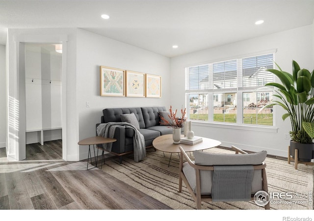 living room featuring hardwood / wood-style floors