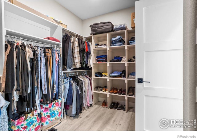 spacious closet featuring wood-type flooring