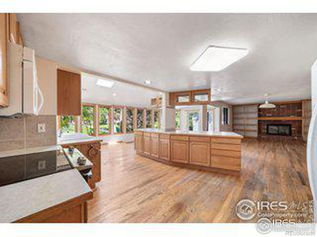 kitchen featuring black electric cooktop and light hardwood / wood-style floors