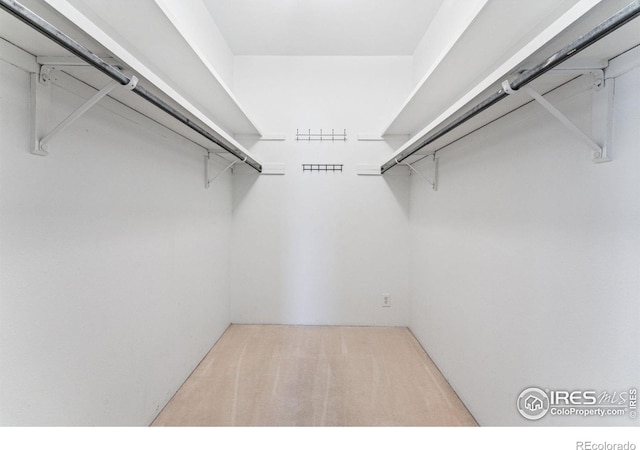 spacious closet with carpet floors