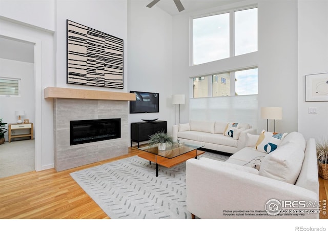 2286 Star Hill St, Longmont, CO 80503 - photo 11