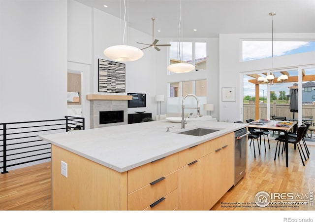 2286 Star Hill St, Longmont, CO 80503 - photo 20