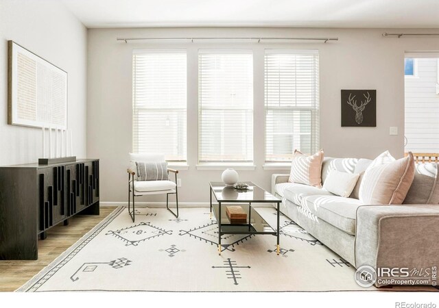 living room with light wood-type flooring