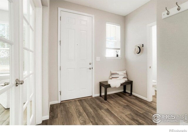 foyer entrance with dark wood-type flooring