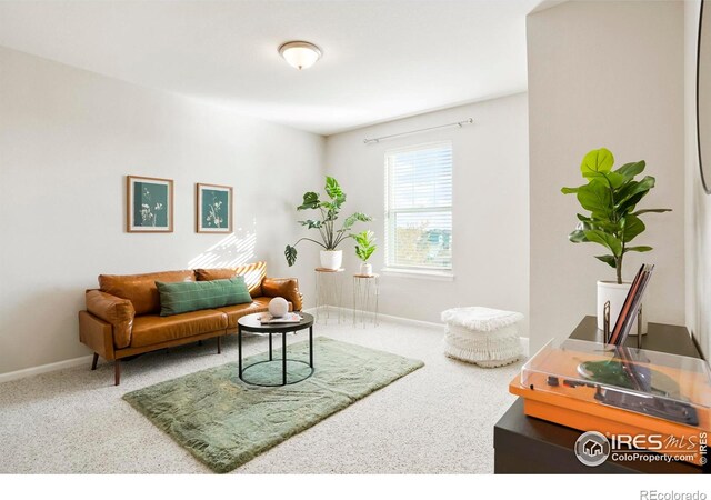 living room featuring carpet floors