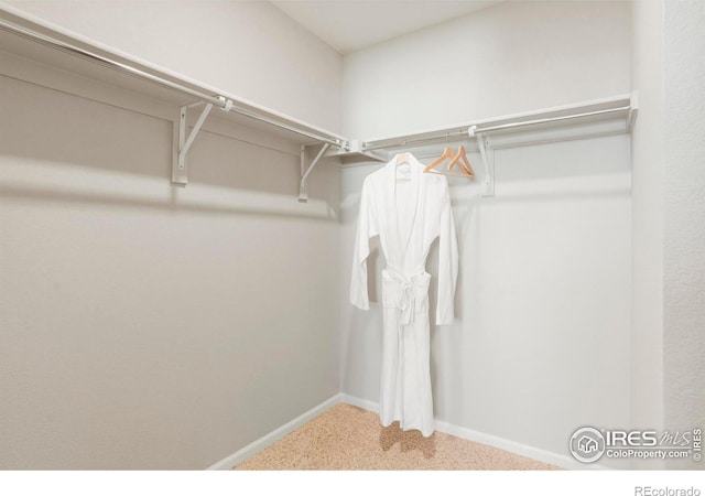 spacious closet featuring carpet floors