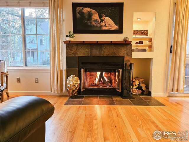 details featuring hardwood / wood-style flooring and a fireplace