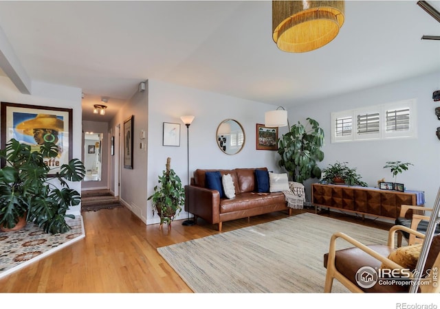 living room with wood-type flooring