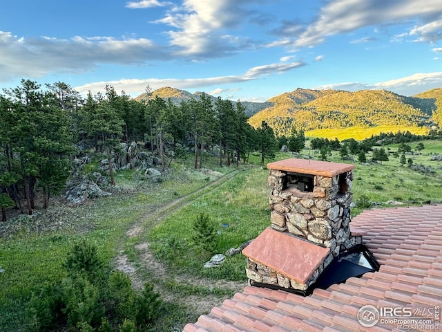 9200 Old Flowers Rd, Bellvue, CO 80512 - mountain view