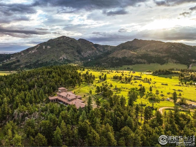9200 Old Flowers Rd, Bellvue, CO 80512 - view of mountain backdrop