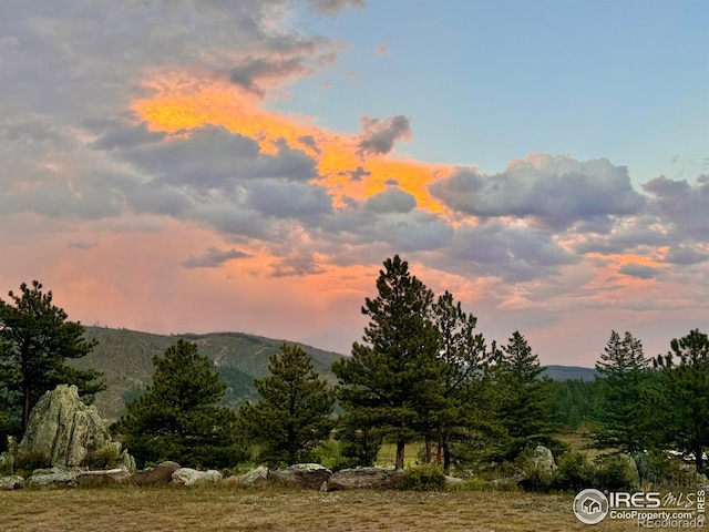 9200 Old Flowers Rd, Bellvue, CO 80512 - mountain view