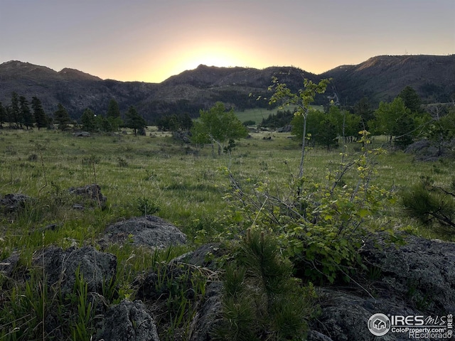 9200 Old Flowers Rd, Bellvue, CO 80512 - mountain view