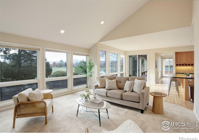 living room featuring high vaulted ceiling and light hardwood / wood-style floors